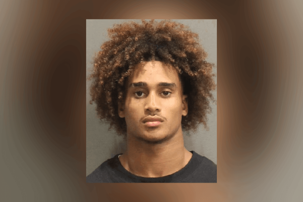 Vanderbilt wide receiver faces felony charges after downtown fight, removed from team – WZTV